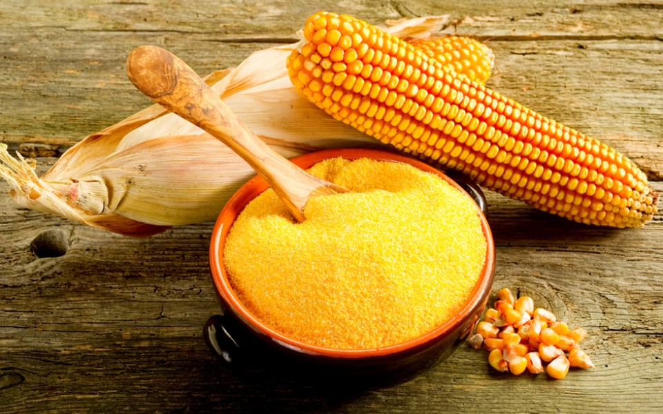 POLENTA