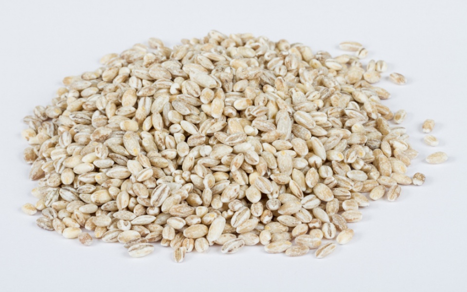 BARLEY