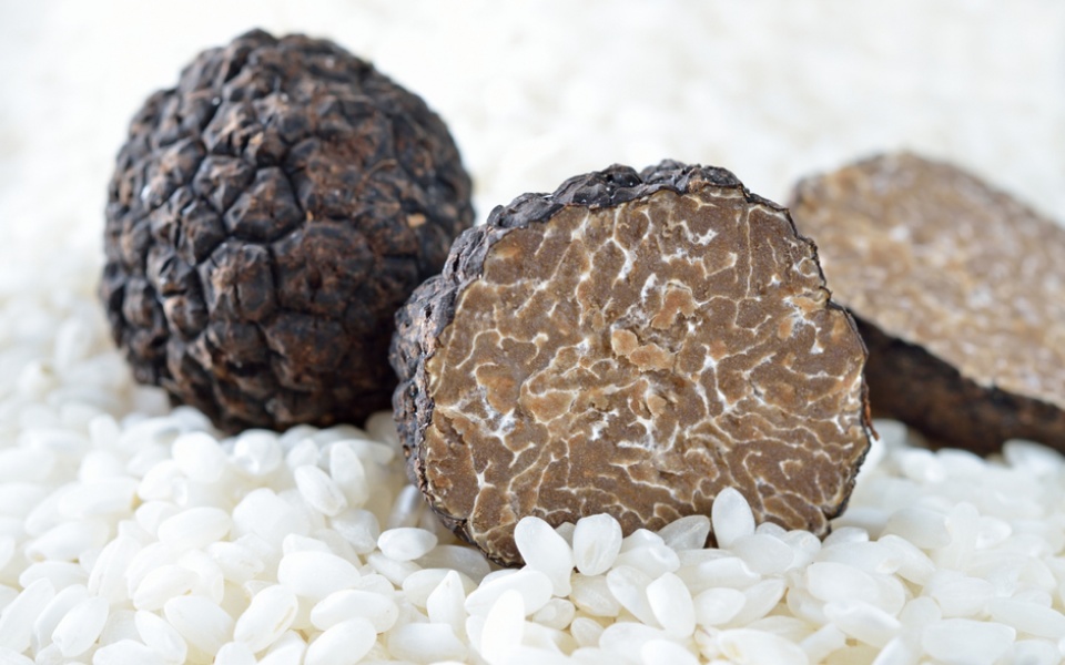 TRUFFLES