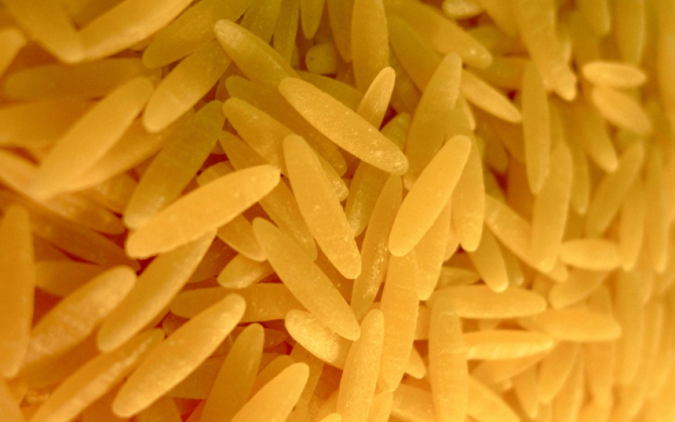 ORZO