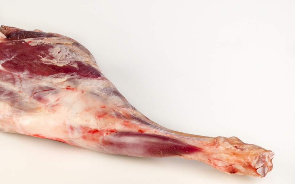 LAMB LEG