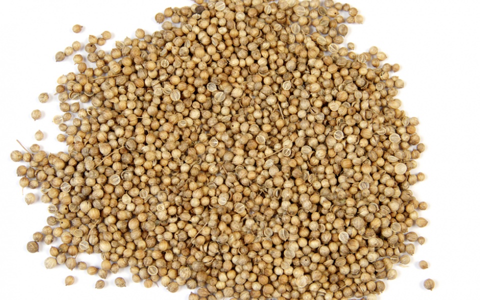 CORIANDER SEEDS