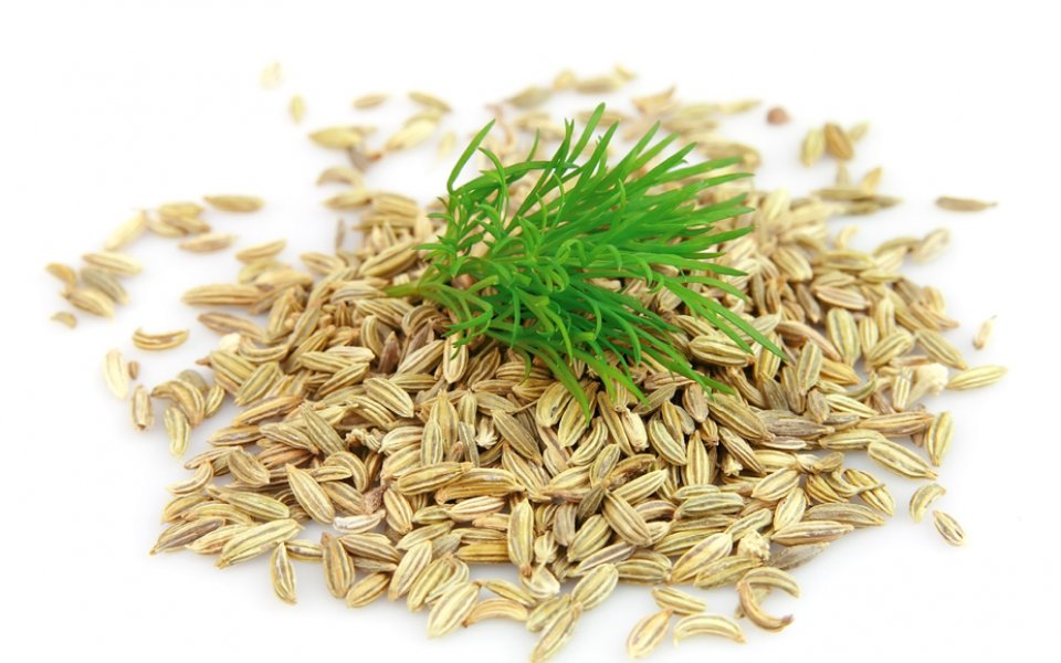 FENNEL SEED