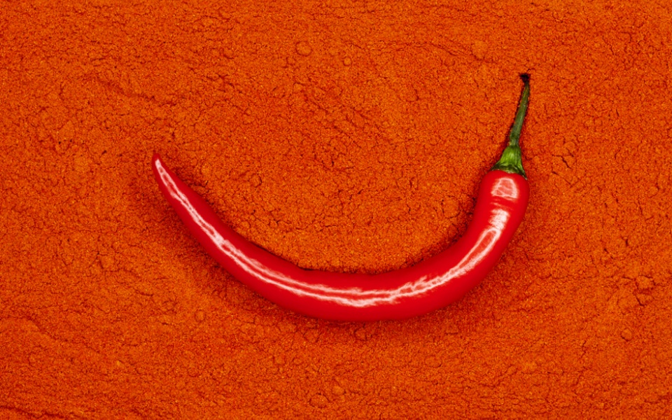 PAPRIKA 