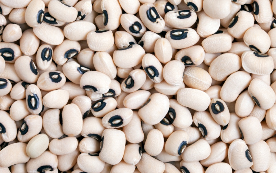 BLACK-EYED PEA