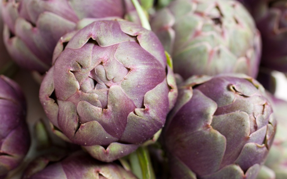 ARTICHOKE