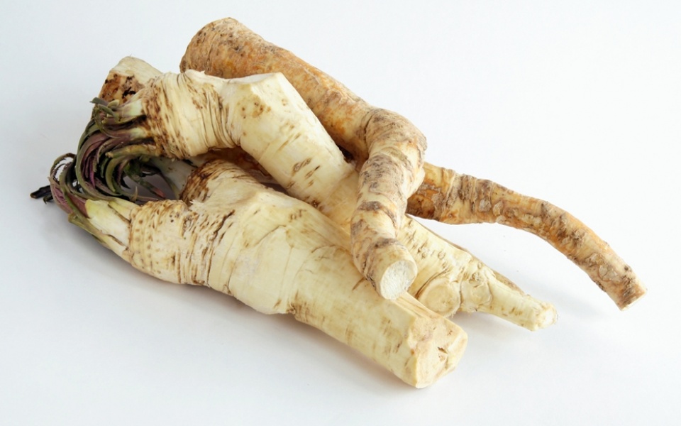 HORSERADISH