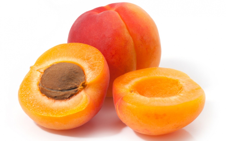 APRICOT
