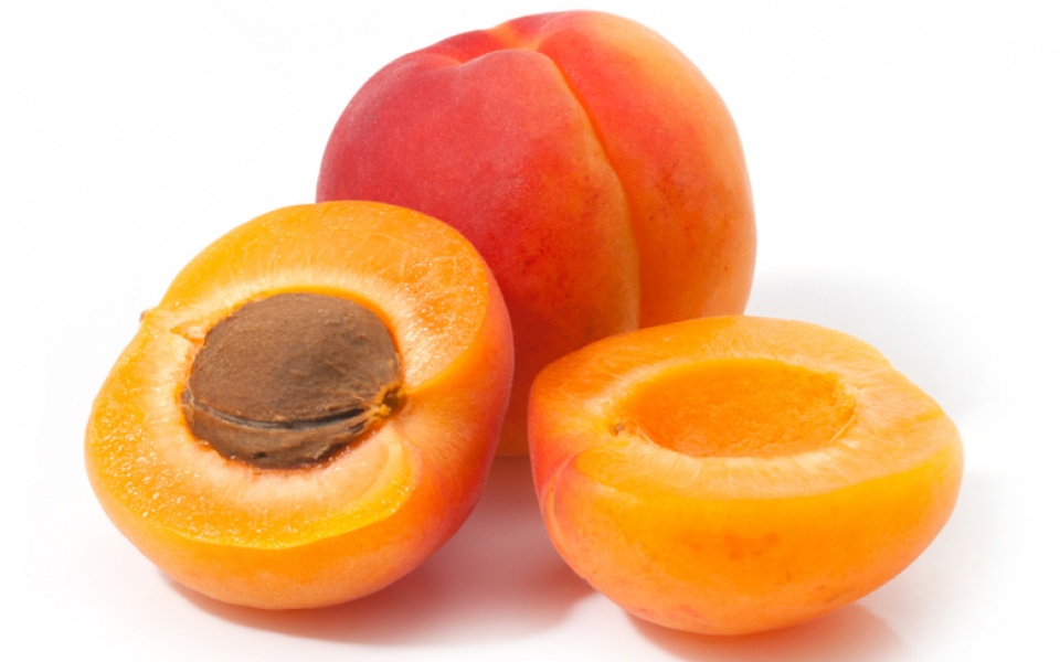 APRICOT 