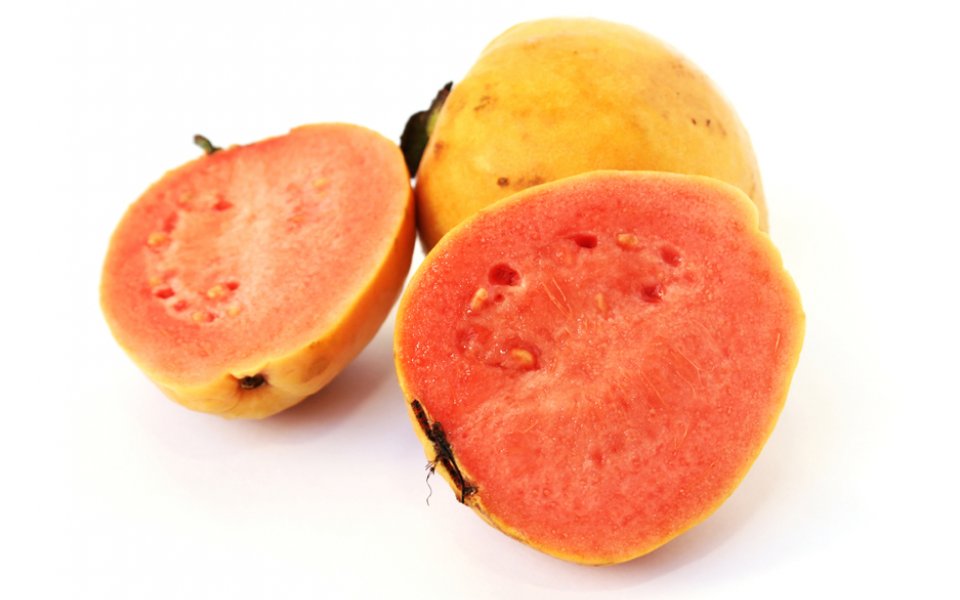 ΓΚΟΥΑΒΑ (guava)