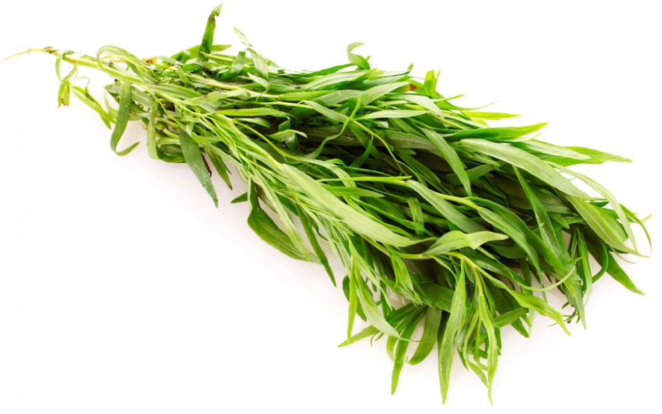 TARRAGON