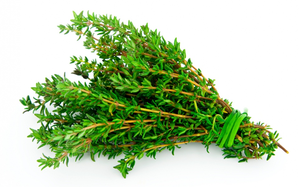 THYME