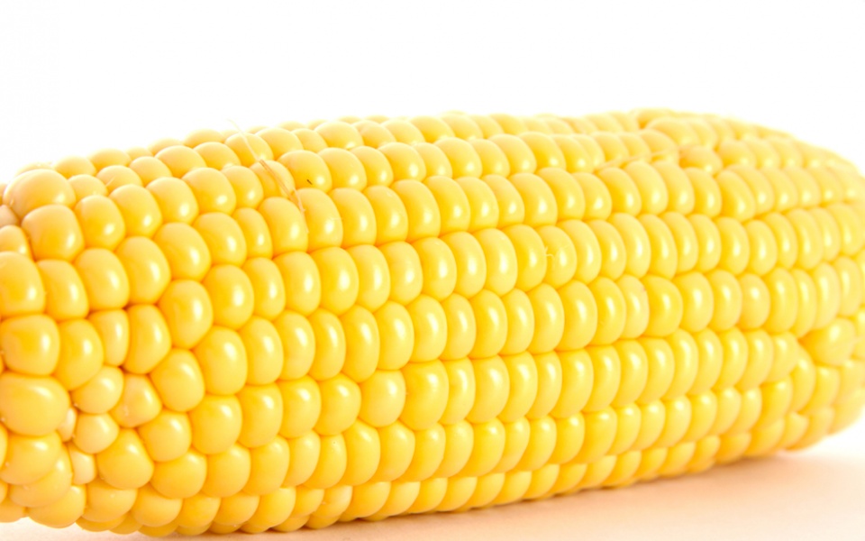 CORN