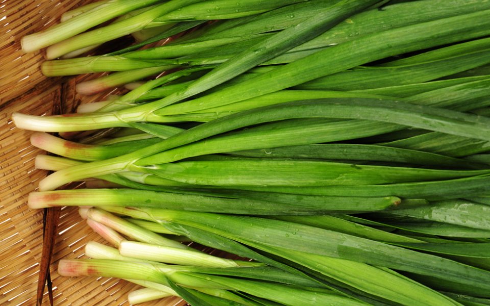 GREEN ONIONS or SCALLIONS