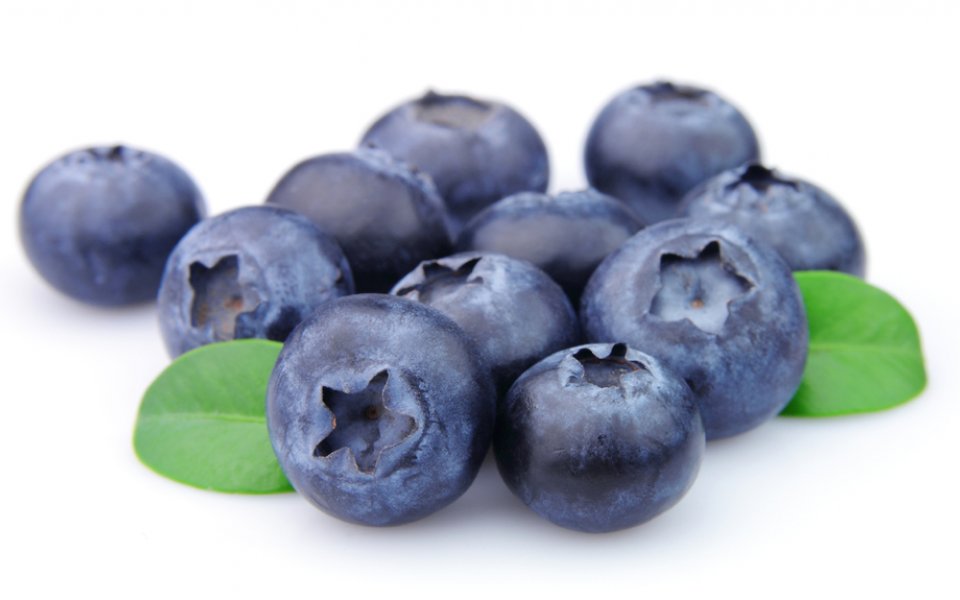 ΜΥΡΤΙΛΟ (blueberry)