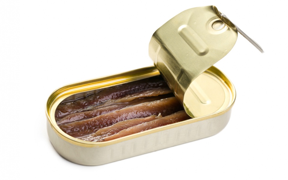  CURED ANCHOVIES