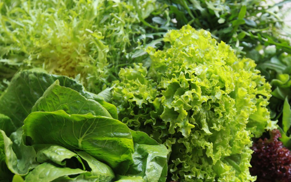 Salad greens: How can I tell if they are fresh?