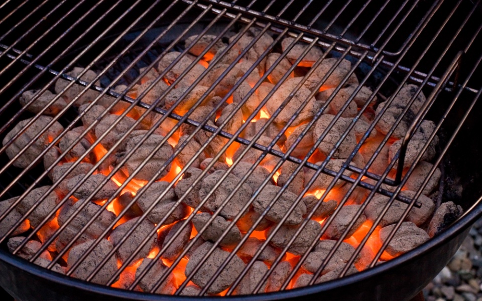 Barbeque: What is the best coal for cooking on the barbeque?