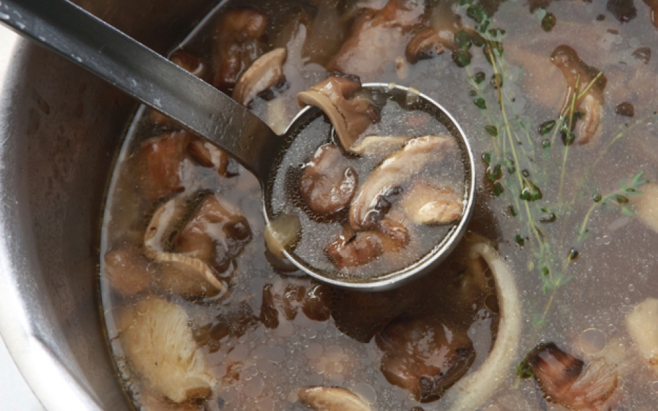 Mushroom stock | Yiannis Lucacos