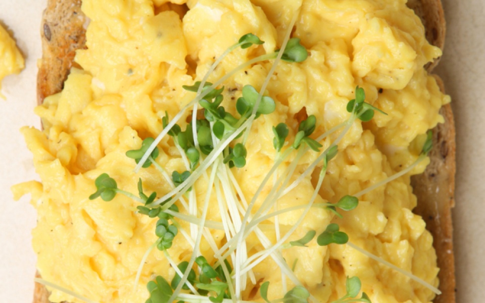 Scrambled Eggs | Yiannis Lucacos