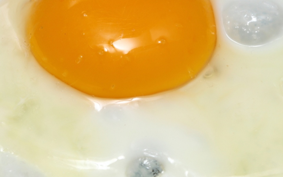 Fried Eggs | Yiannis Lucacos
