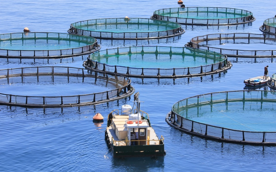 AQUACULTURE