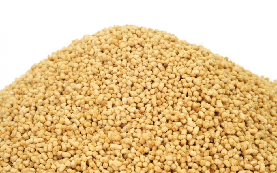 LECITHIN