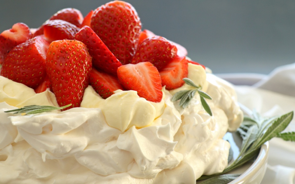 PAVLOVA