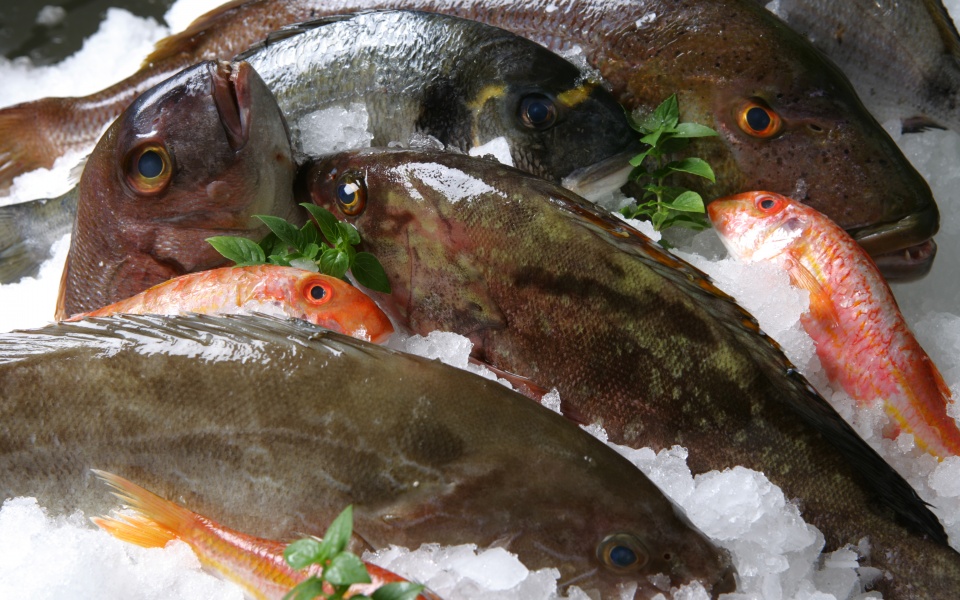 Fresh fish: Selection criteria