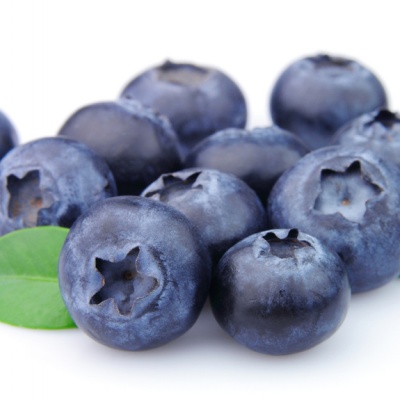 ΜΥΡΤΙΛΟ (blueberry) | Γιάννης Λουκάκος