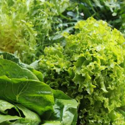 ΣΑΛΑΤΕΣ Γιάννης Λουκάκος